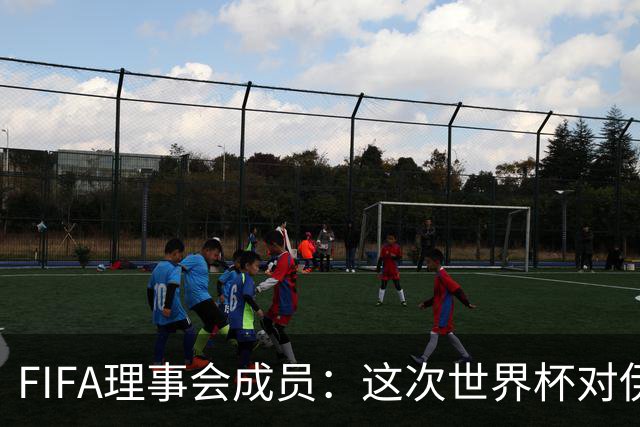 FIFA理事会成员：这次世界杯对伊朗太不公平，政治问题太敏感了